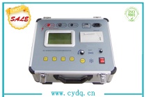 CY-2678 水內(nèi)冷發(fā)電機(jī)絕緣電阻測試儀